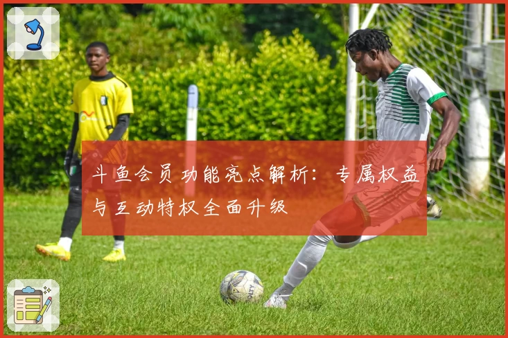 斗鱼会员功能亮点解析:专属权益与互动特权全面升级