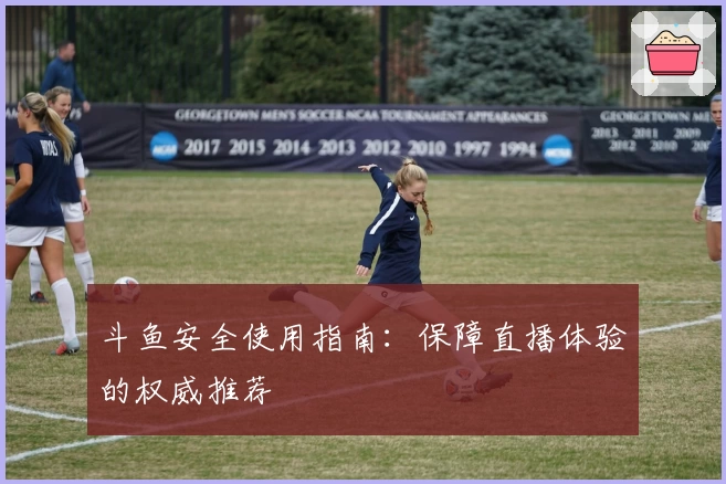 斗鱼安全使用指南：保障直播体验的权威推荐