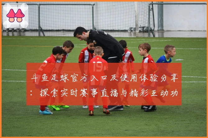 斗鱼足球官方入口及使用体验分享：探索实时赛事直播与精彩互动功能亮点