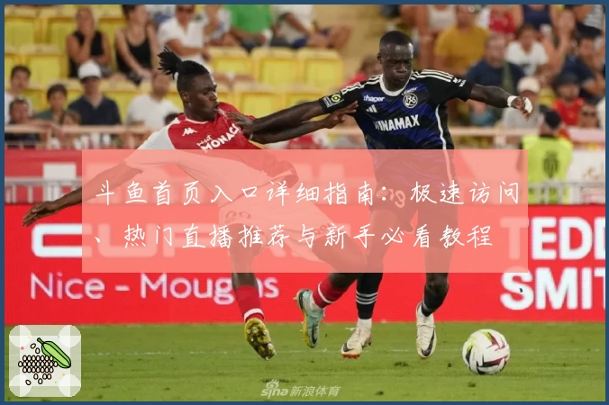 斗鱼首页入口详细指南：极速访问、热门直播推荐与新手必看教程