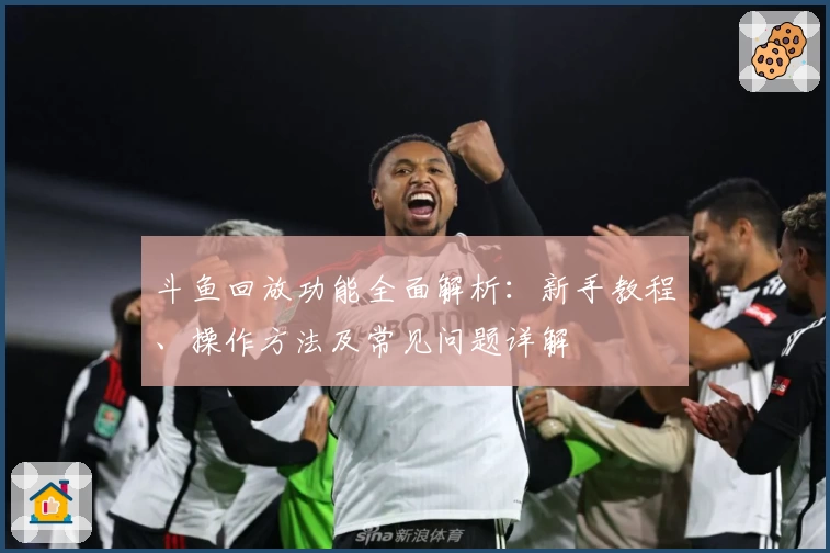 斗鱼回放功能全面解析:新手教程、操作方法及常见问题详解