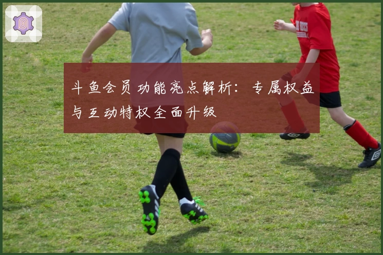 斗鱼会员功能亮点解析：专属权益与互动特权全面升级