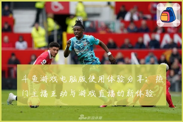 斗鱼游戏电脑版使用体验分享：热门主播互动与游戏直播的新体验