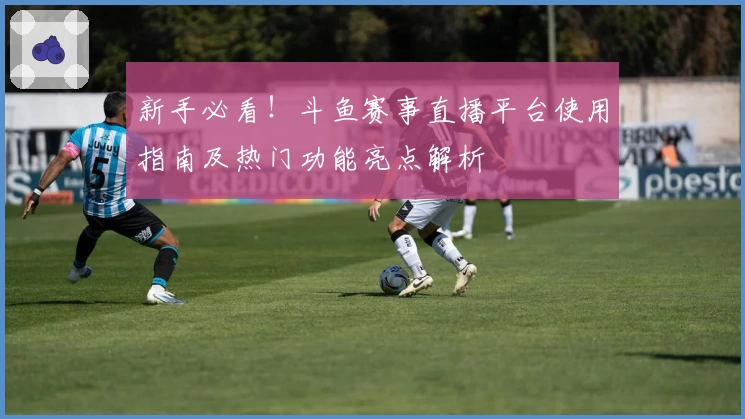 新手必看！斗鱼赛事直播平台使用指南及热门功能亮点解析