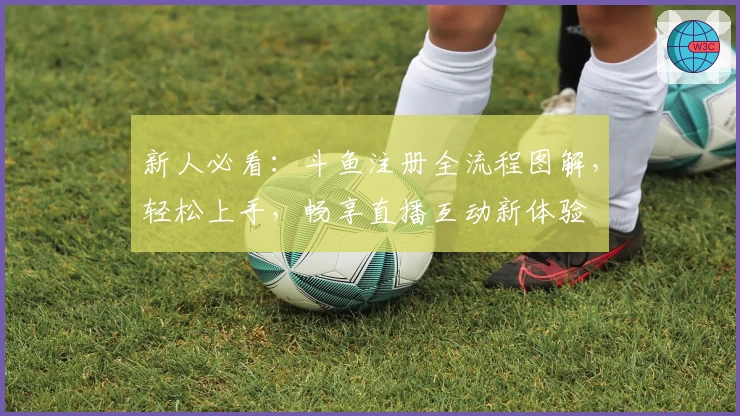 新人必看：斗鱼注册全流程图解，轻松上手，畅享直播互动新体验